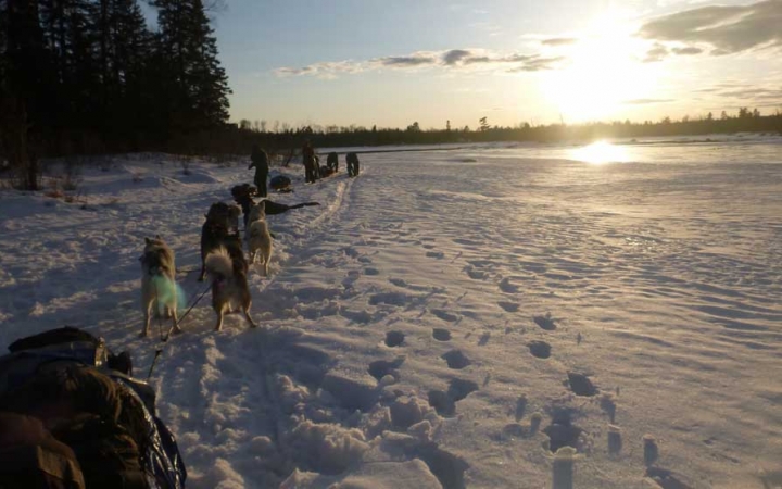 from the view point of the back of a sled, a team of dogs stretches out in front, while the sun sets over a snowy landscape 